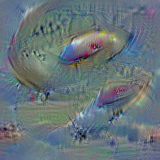 n02692877